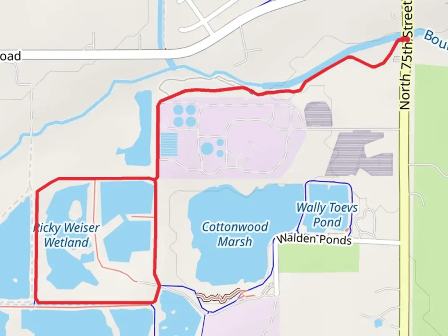 An image depicting the trail Bass Pond Loop and its surrounding area.