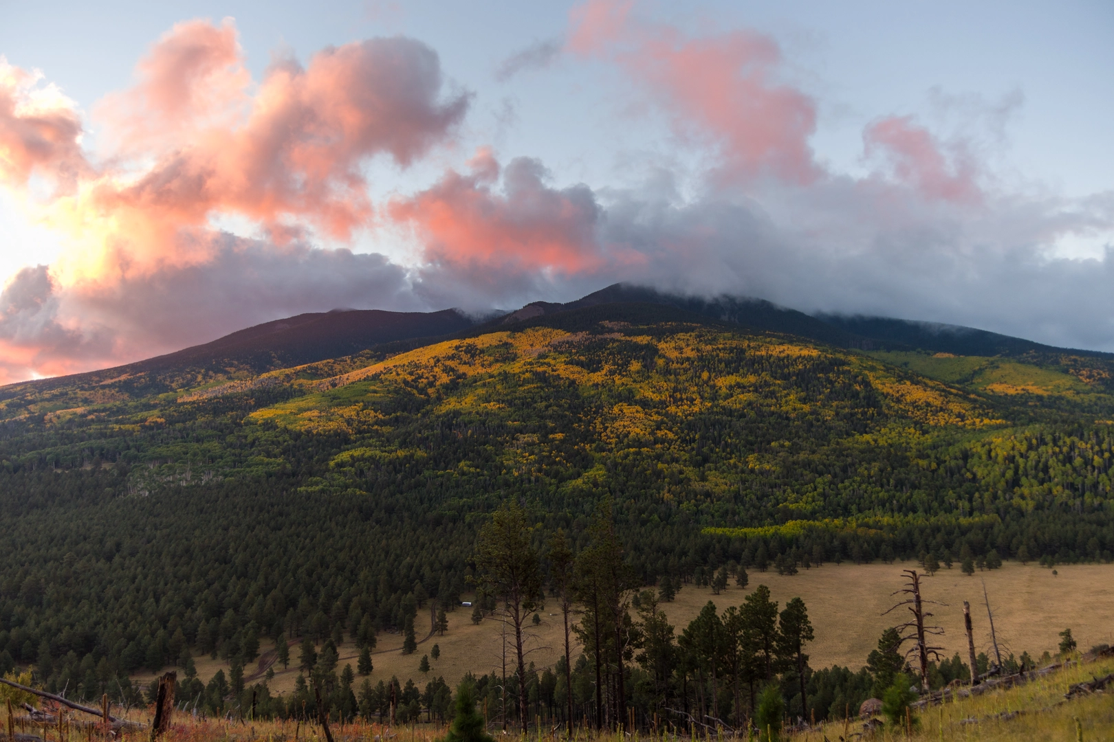An image depicting the trail Bear Canyon Trail Camp via Bear Canyon Trail and its surrounding area.