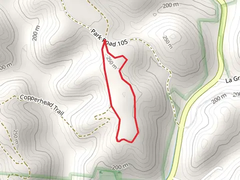 High Knob Loop Trail