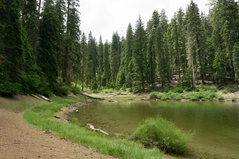 Kelly Lake - Poker Flat Trail
