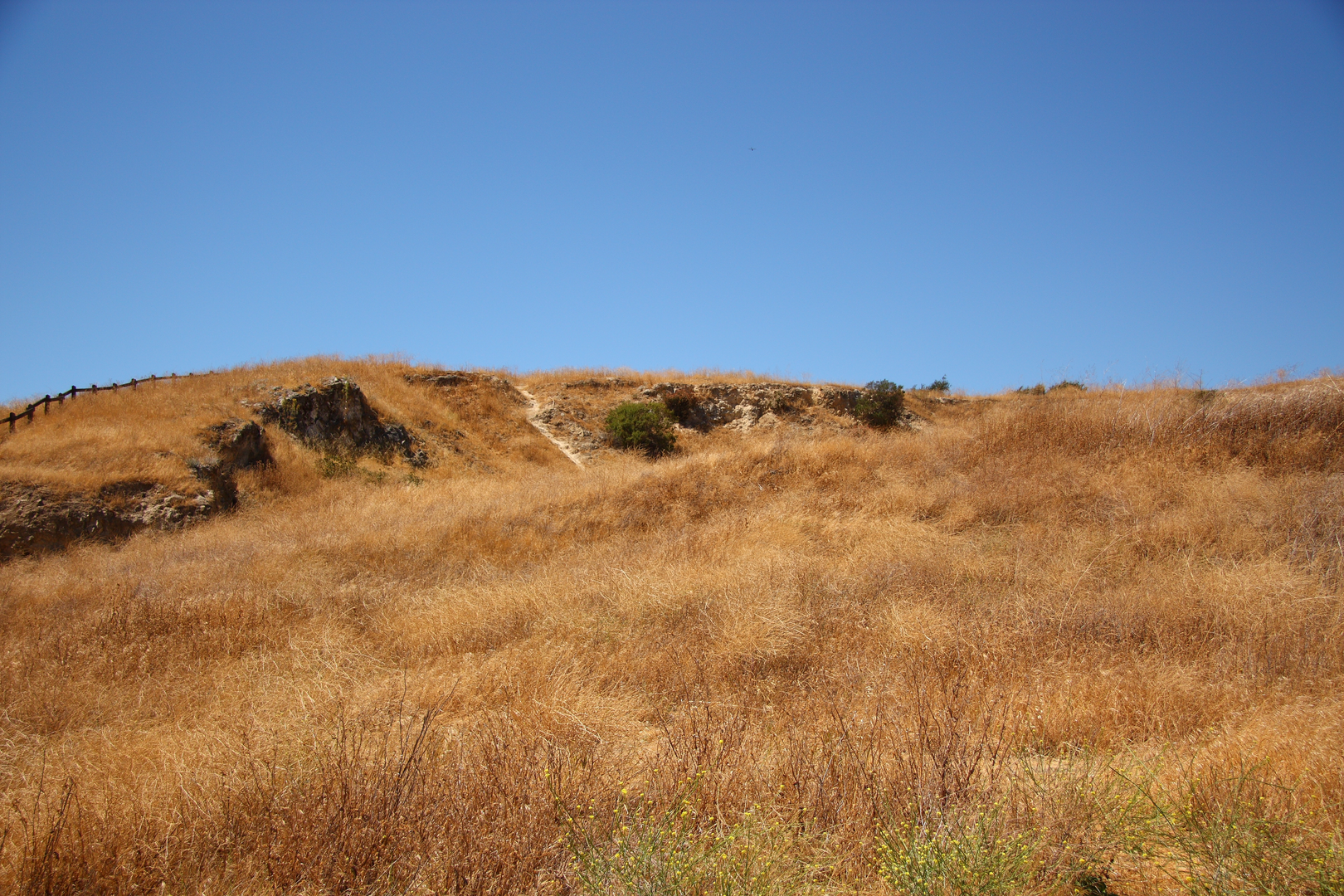 An image depicting the trail Thorn Alley Loop and its surrounding area.