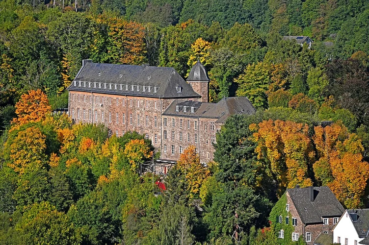 Schleiden 2 Loop
