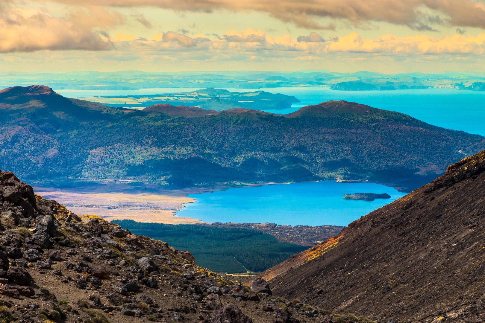 An image depicting the trail Whakaipo Bay Track and its surrounding area.