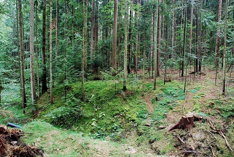 Großer Hochgrail - Niedergrail Loop