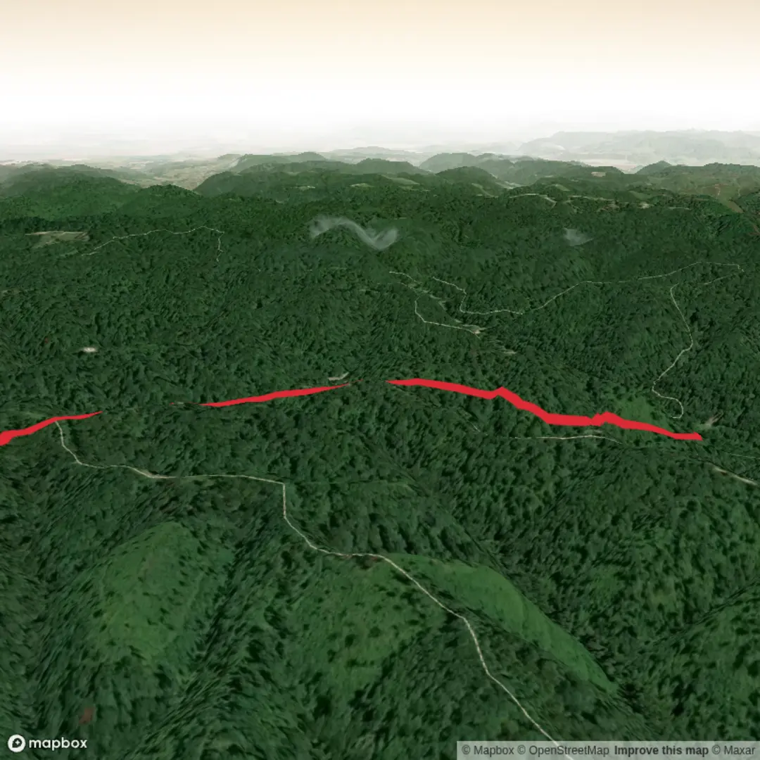 An image depicting the trail Pine Lake via Logan Trail - Firetower and its surrounding area.