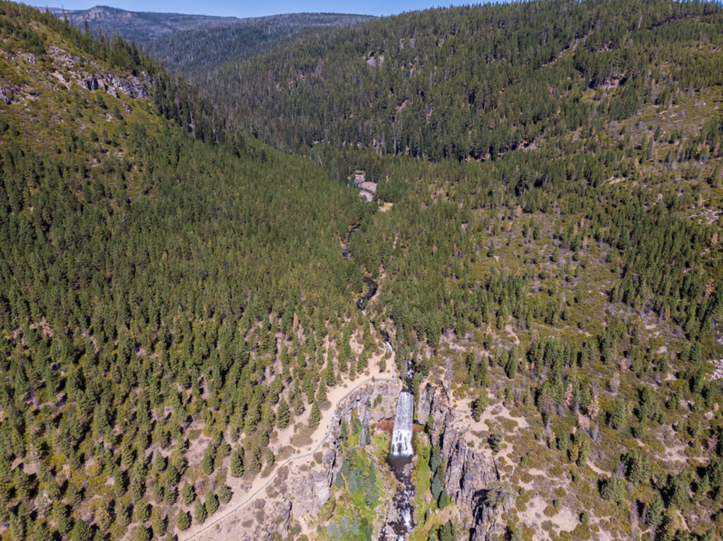 An image depicting the trail Bridge Creek Trail and its surrounding area.