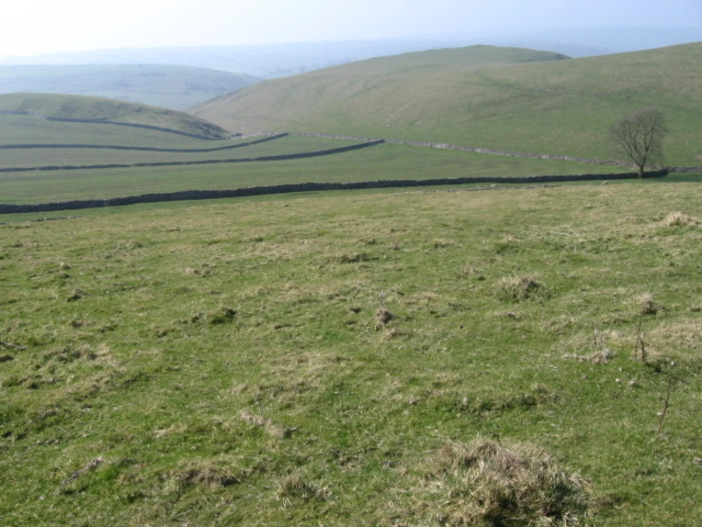 An image depicting the trail Wetton, Ilam, Milldale and Hartington Loop via Thorpe Cloud and its surrounding area.