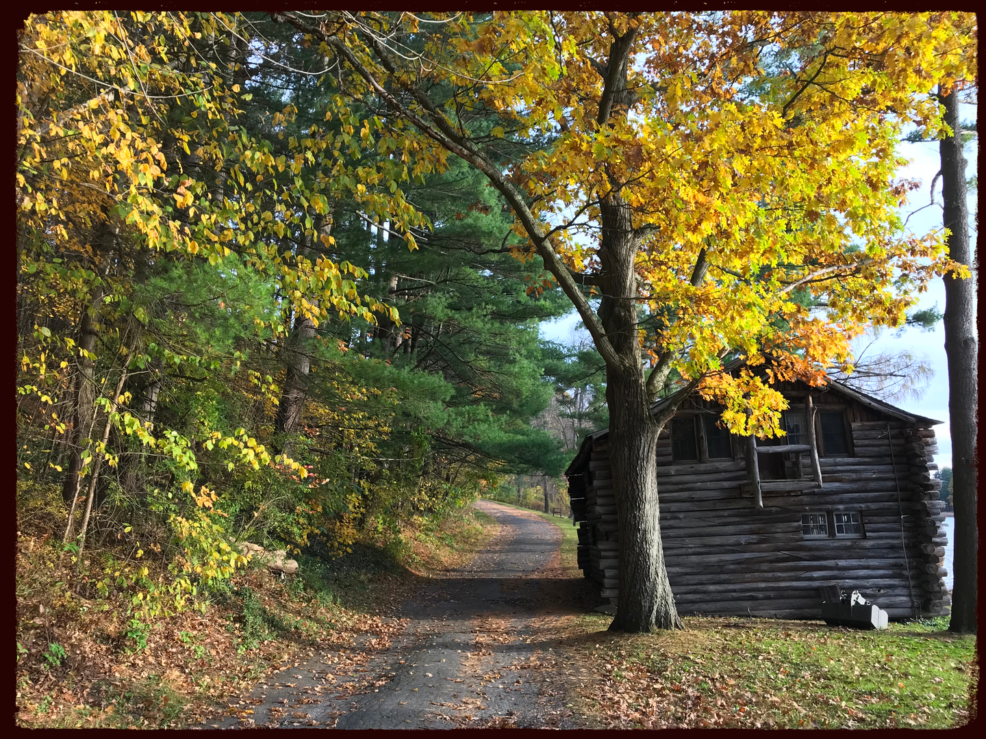 An image depicting the trail Taconic Crest Trail and its surrounding area.