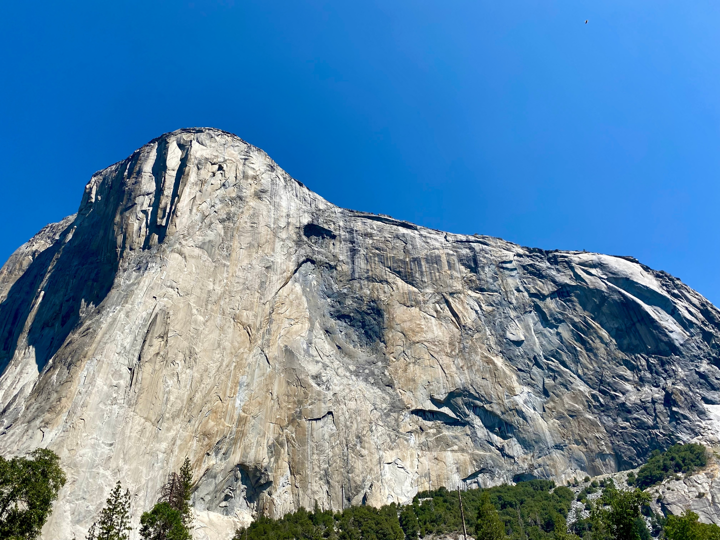 An image depicting the trail El Capitan, Eagle Peak and Lost Arrow Trail and its surrounding area.