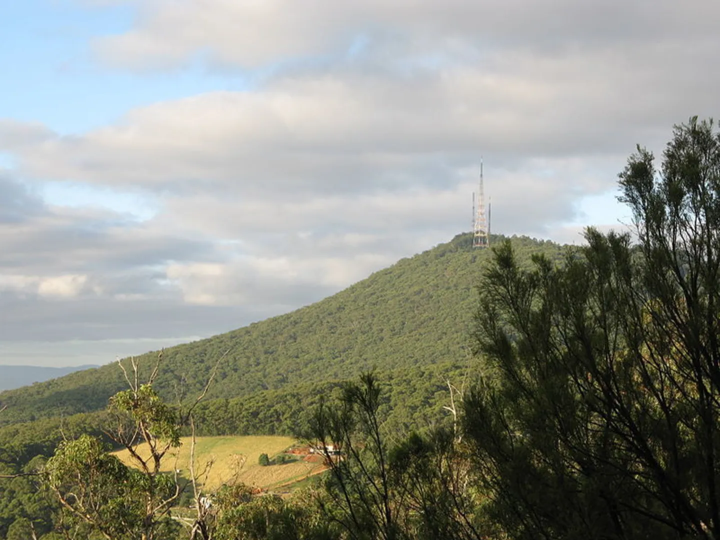 An image depicting the trail Glasgow Track Circuit Trail and its surrounding area.