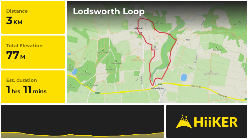 Lodsworth Loop | West Sussex | England
