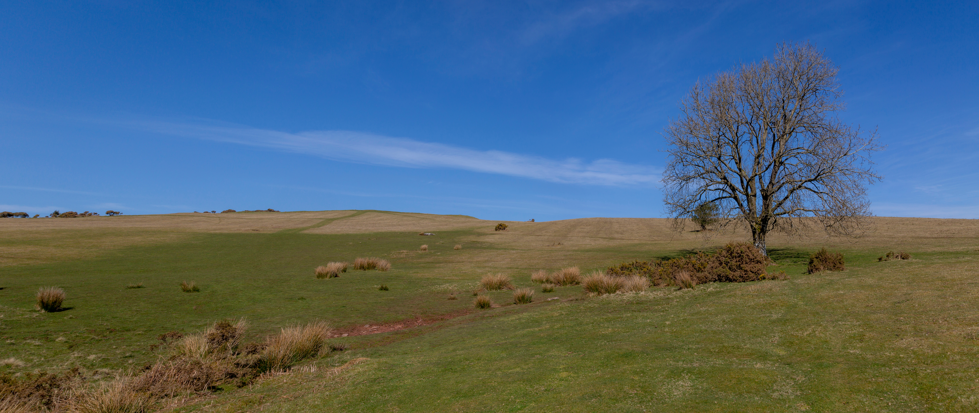 An image depicting the trail Mynydd Illtyd Route and its surrounding area.