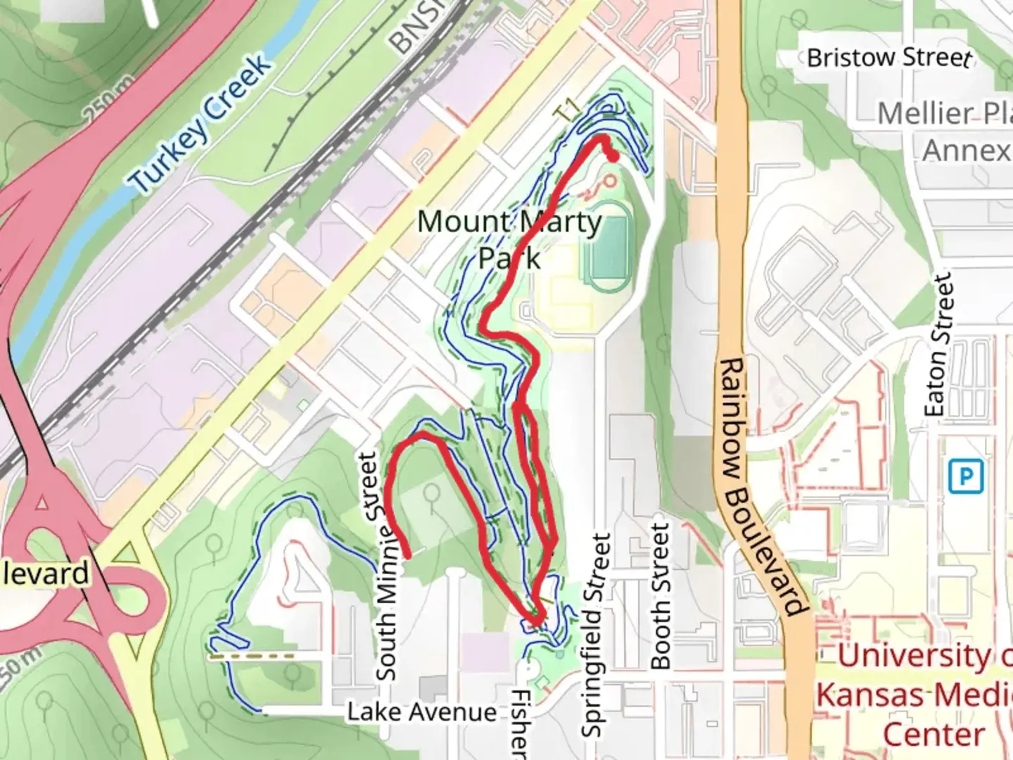 An image depicting the trail Rozarks Trail and its surrounding area.