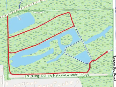 Tarpon Bay Road Loopc - West