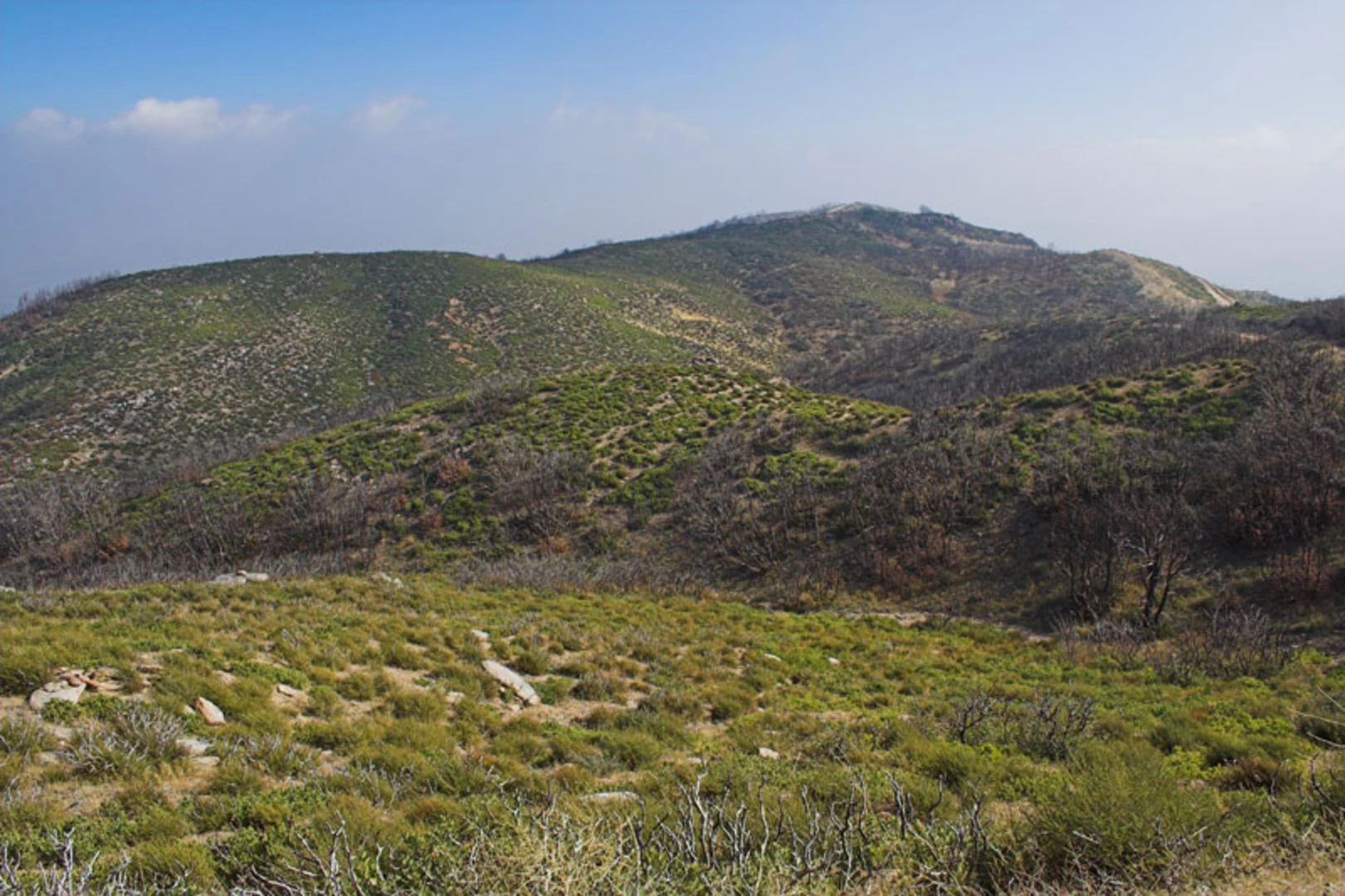 An image depicting the trail Cleghorn Mountain Trail and its surrounding area.
