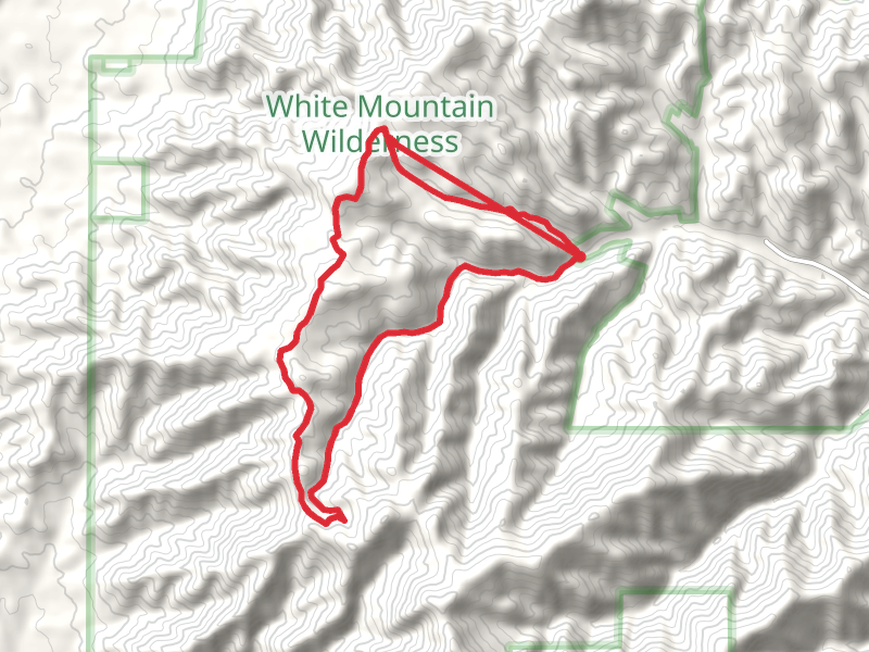 Argentina Canyon, Argentina Peak and Big Bonito Loop Trail