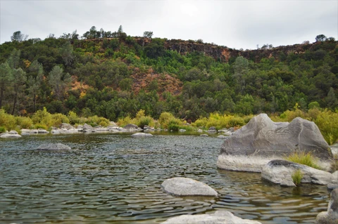 Putah Creek Walk
