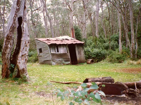 Edwards Swamp Track