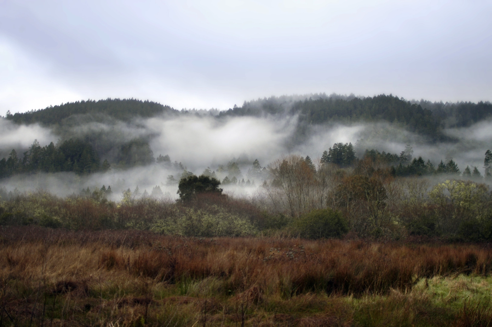 An image depicting the trail Glen Camp Loop Trail via ADT and its surrounding area.
