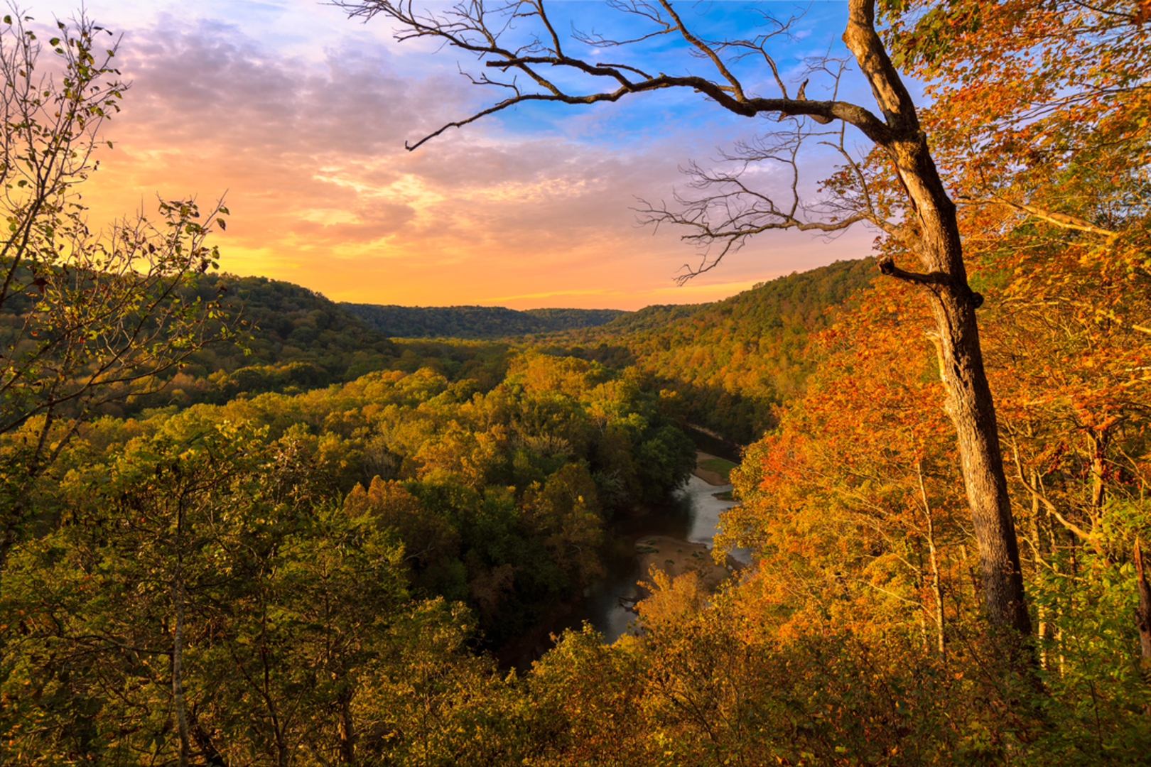 An image depicting the trail Turnhole Bend Nature Trail and its surrounding area.