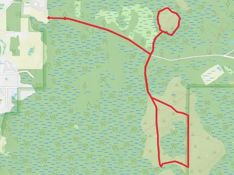 Big Cypress Swamp Loop
