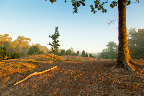 Park Hemelrijk, Sint Anthonisbos, Overloonsche Duinen and Het Hurkske Loop