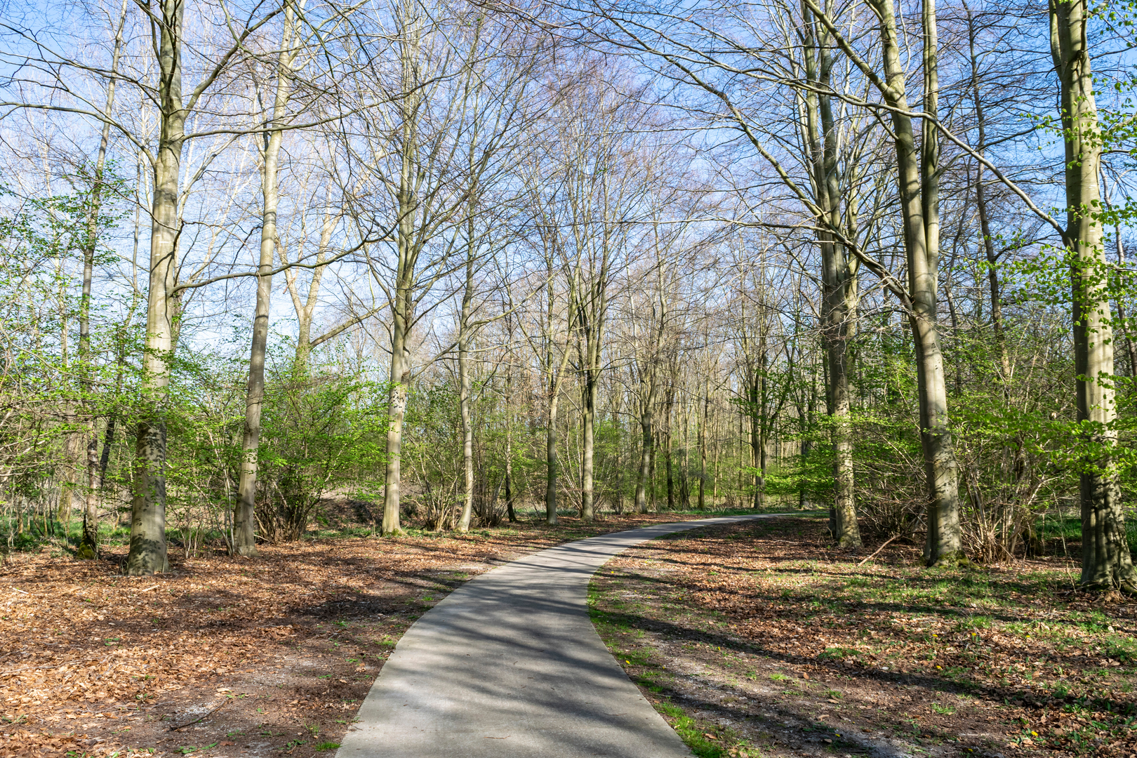 An image depicting the trail Schapenbos, Cirkelbos and Gooimeerdijk Loop and its surrounding area.