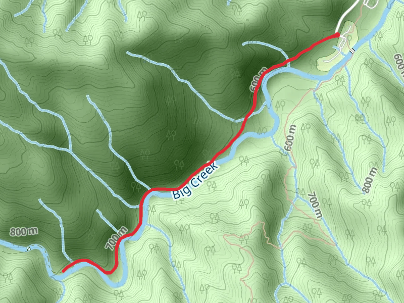 Big Creek Trail from Big Creek Entrance Road