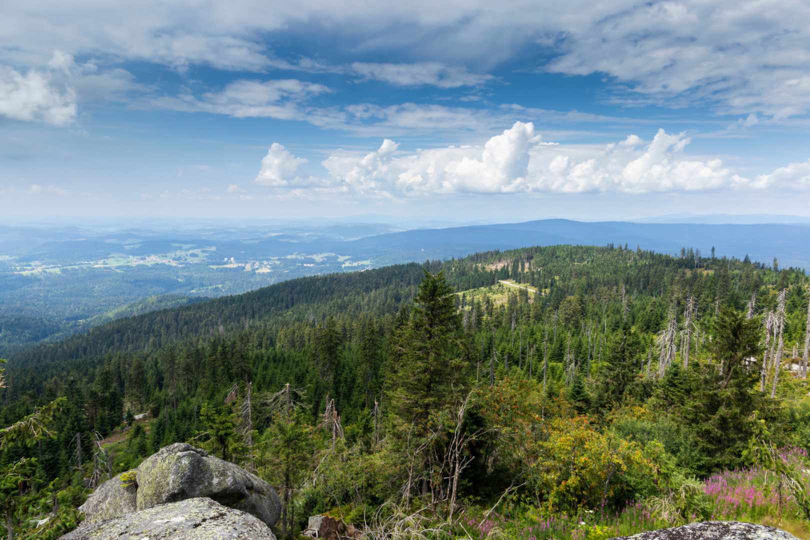 An image depicting the trail Nordwaldkammweg and its surrounding area.