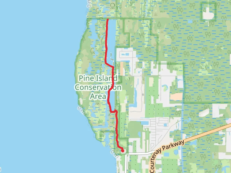 Garnet Reail - Pine Island