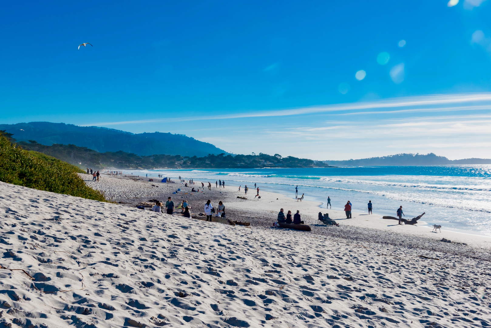 An image depicting the trail Carmel Beach City Park Trail and its surrounding area.
