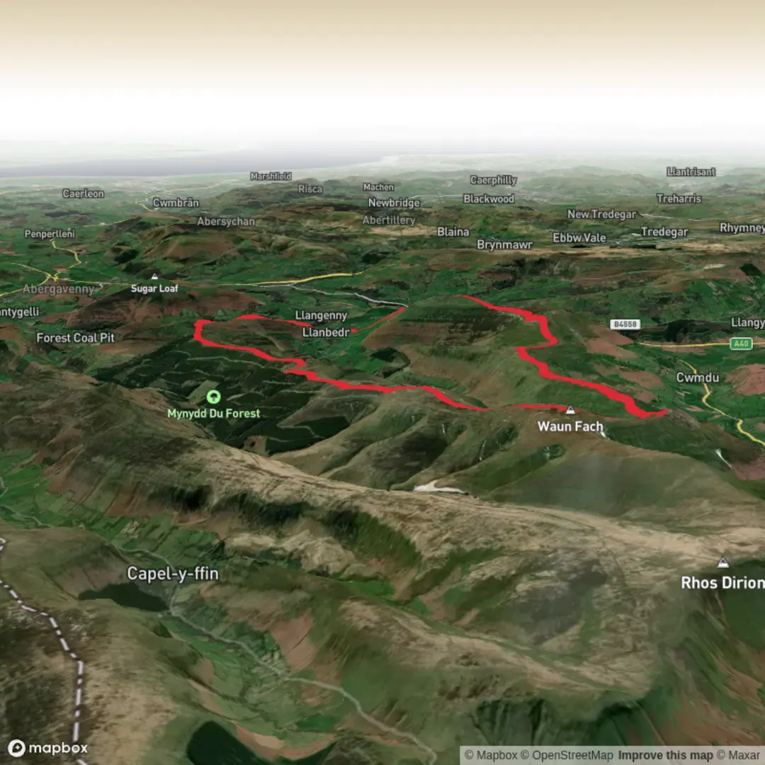 An image depicting the trail Llanbedr and Waun Fach Circular and its surrounding area.
