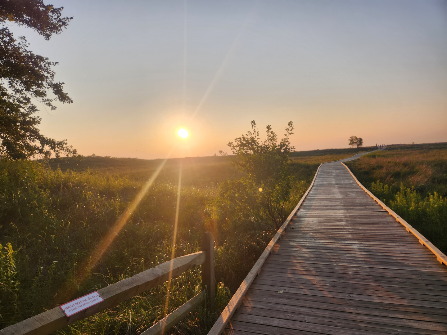 An image depicting the trail Park Road 3 Loop - North and its surrounding area.