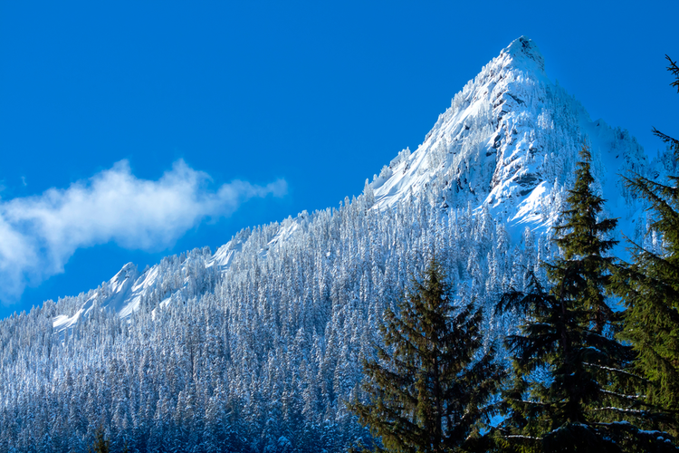 Mcclellan Butte Trail