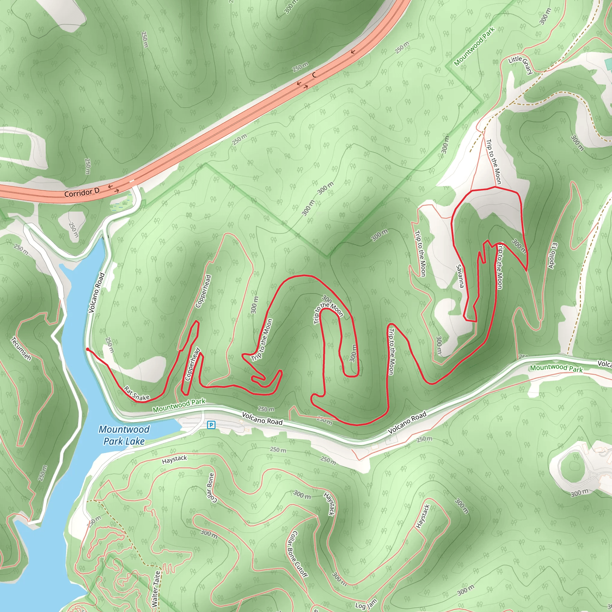 Trip to the Moon Loop mobile static map