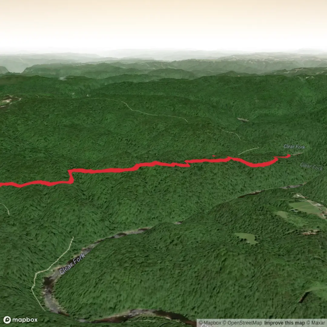 An image depicting the trail Beaver Falls via Sheltowee Trace and its surrounding area.