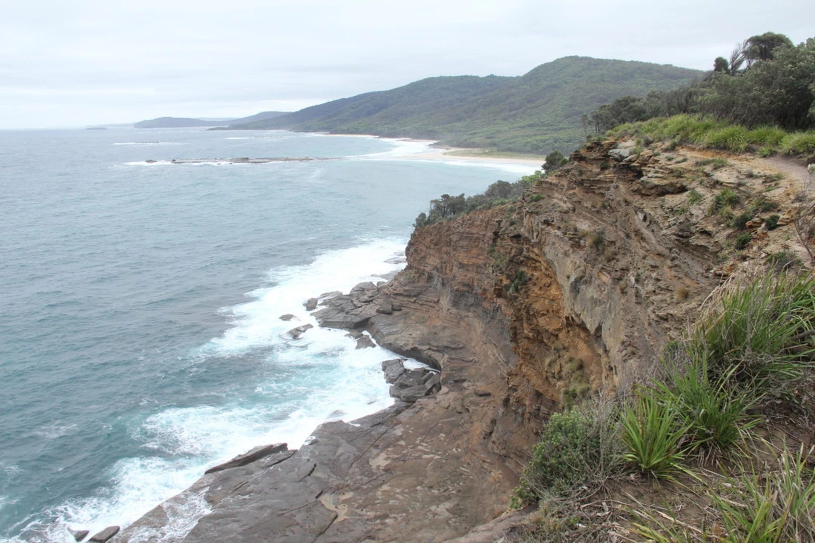 An image depicting the trail Pretty Beach to Snapper Point Track and its surrounding area.