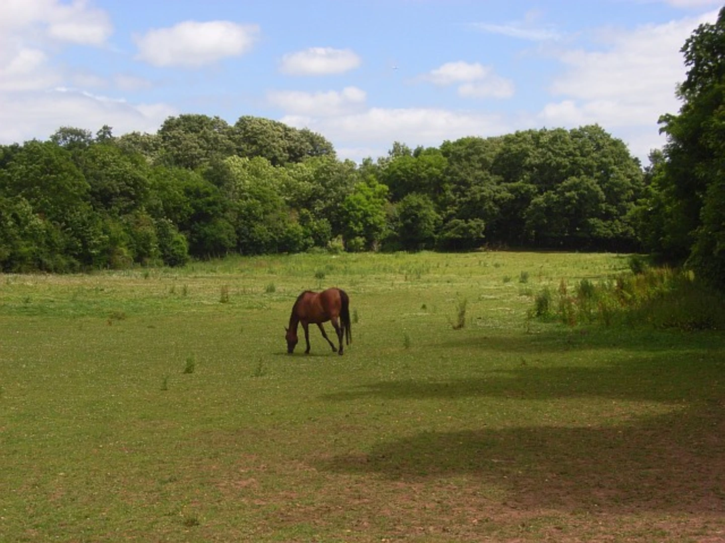 An image depicting the trail Littlewick Green to Burchett's Green Loop and its surrounding area.