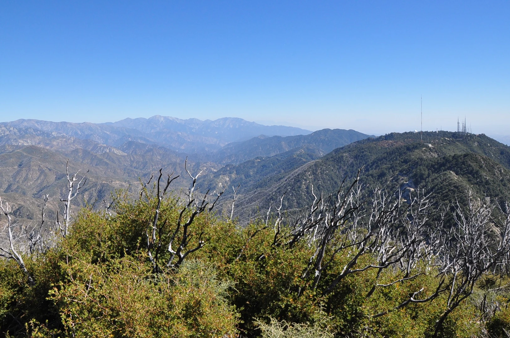 An image depicting the trail Bill Riley Trail and San Gabriel Peak Loop and its surrounding area.