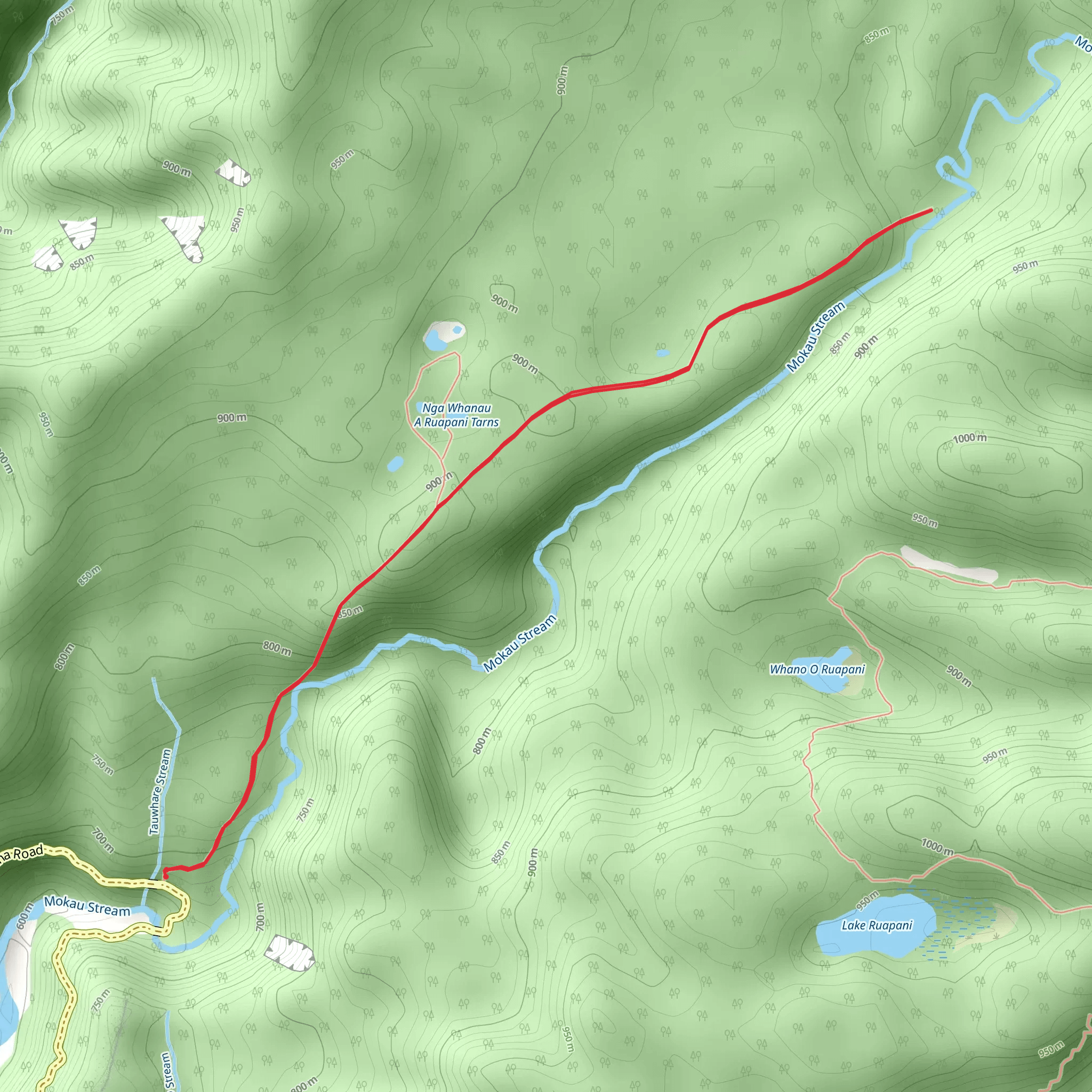 Mokau Stream Track mobile static map