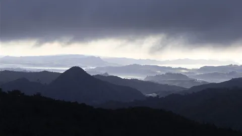 Te Puru Track