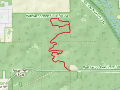 Sugar Mountain Loop via North Yellow