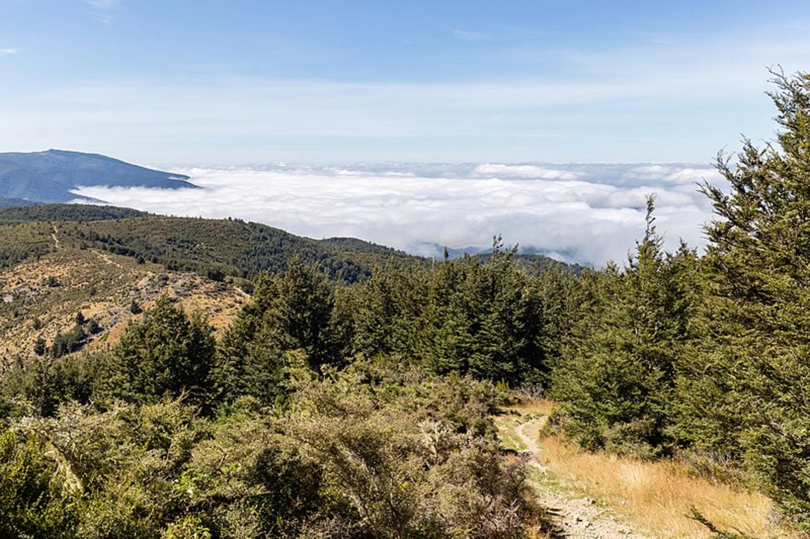 An image depicting the trail Blowhard Track and its surrounding area.