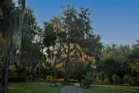 Ravine Gardens State Park Loop