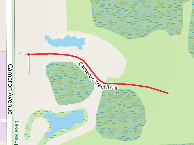 Cameron Tract Trail
