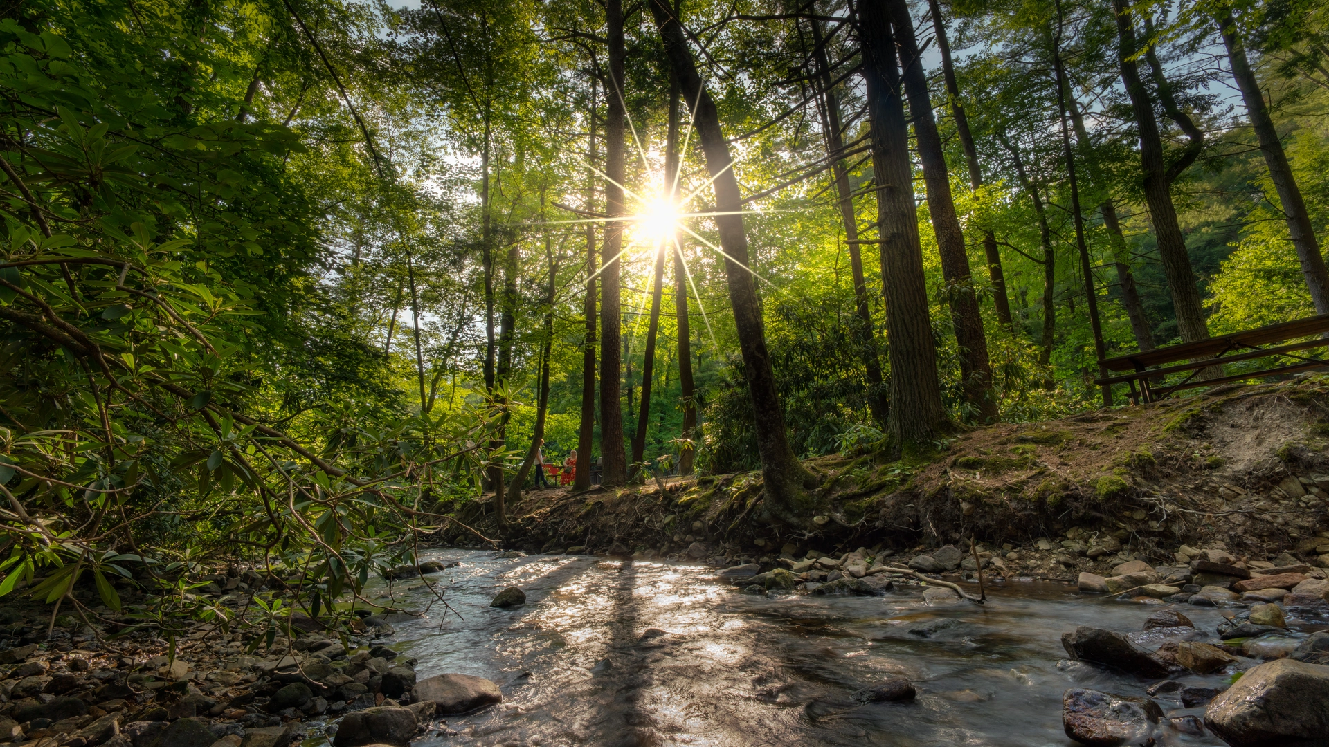 An image depicting the trail Ridge Road to Old Forge via Appalachian Trail and its surrounding area.