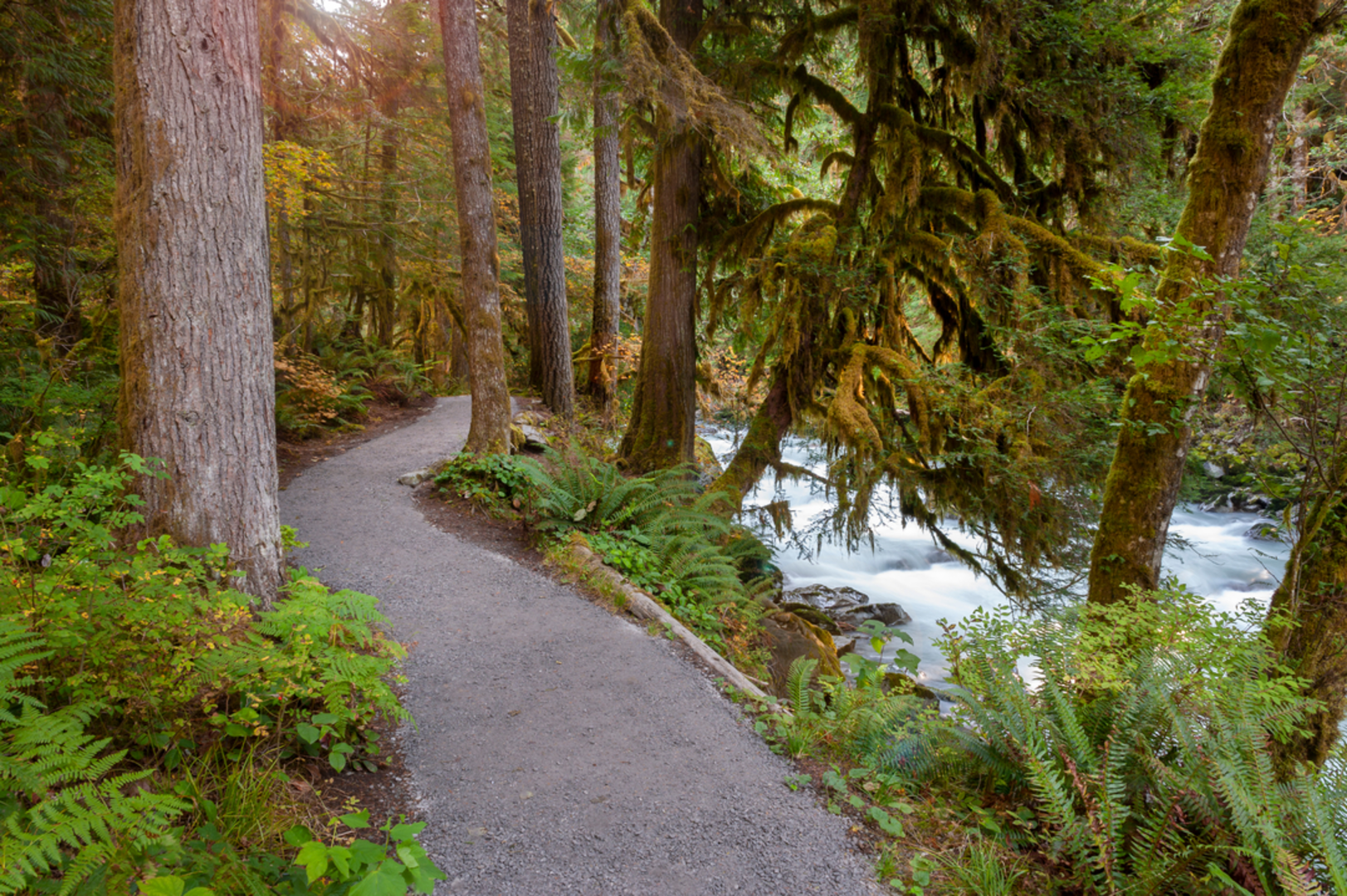 An image depicting the trail Horseshoe Bend Trail and its surrounding area.