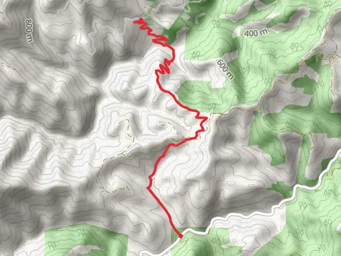 China Creek Trail
