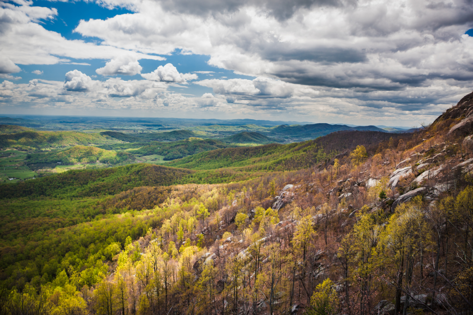 An image depicting the trail Old Rag Mountain Loop Trail and its surrounding area.