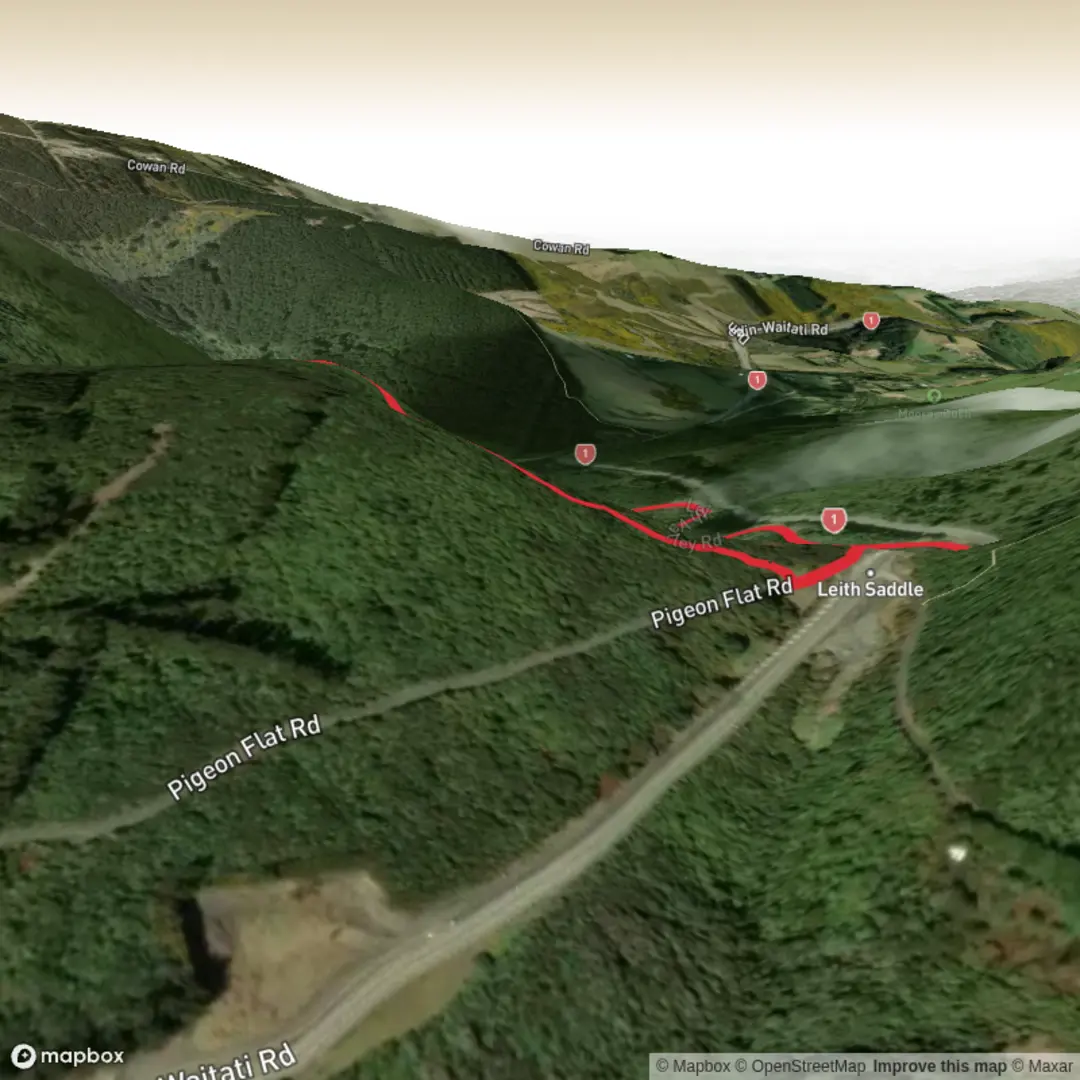 An image depicting the trail Leith Lookout Loop and its surrounding area.